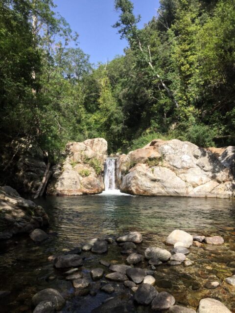 Un laghetto formato da una piccola cascata che si vede sullo sfondo e tanta vegetazione intorno
