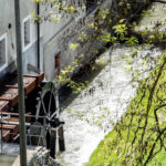 La ruota attiva nel canale d'acqua del Mulino della Riviera