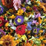 Fiori eduli