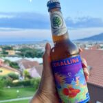 Bottiglia di birra con Gallinara sullo sfondo