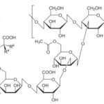 glossario xantano formula