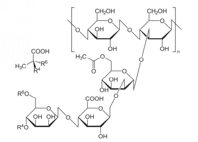 glossario xantano formula