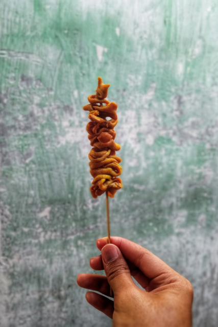 Spiedino di intestino tenuto in mano