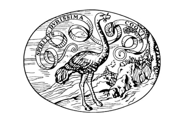 spiritus durissima coquit
