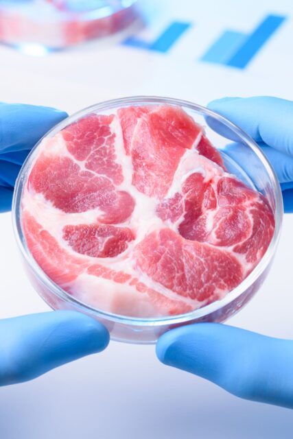 carne dentro a un vetrino