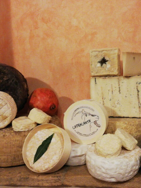 Formaggi della Fattoria Grater