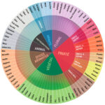 Chaos ruota sensoriale vini
