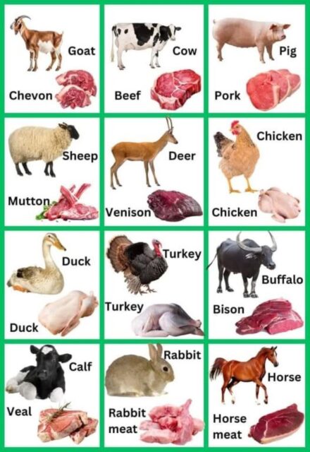 Ambizione nomi carne
