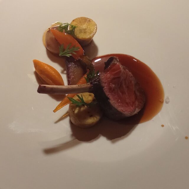 MINI Visione agnello