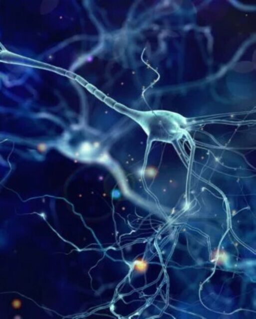 Curriculum Bassani reti neurali