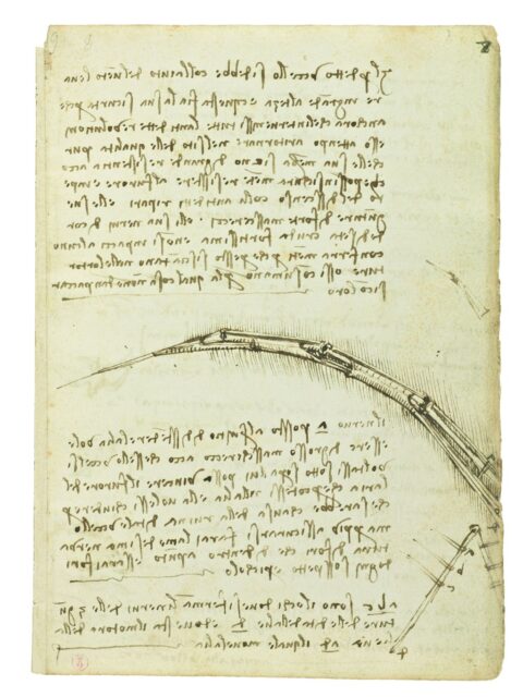 Curriculum scrittura Leonardo