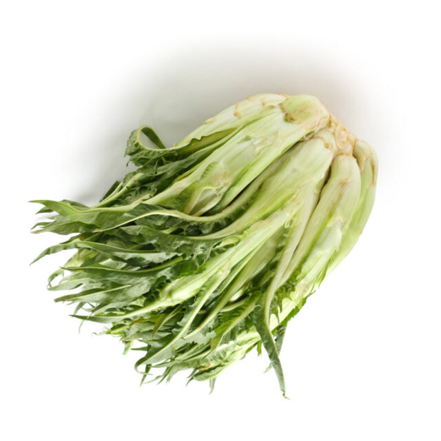 tradurre puntarelle come lunghi capelli