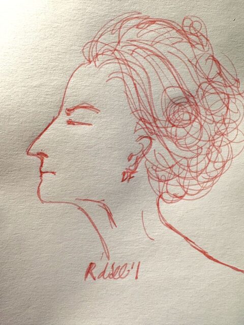 Rosa Daniela Ferrando disegno Rosa dall'Invidia