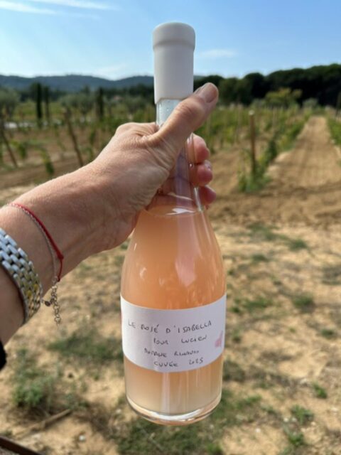 Rosa Isabella Radaelli mon rosé pour Lucien